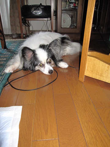 ���ä�����������