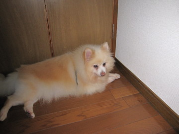 ���ä�����������