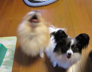 ライバル