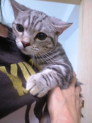 2014(H26)-6-28 �������˥��������� (10)