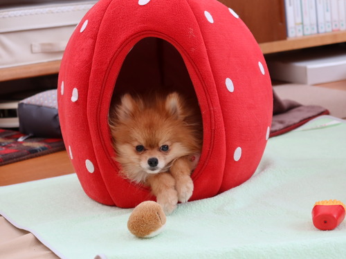 2021(R3)-2-20 Ƥåԡ (6)