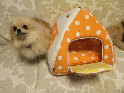 �����ե�� (2)