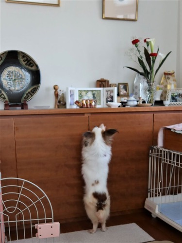 2021(R3)-5-9 こんな事もあんな事もしでかします (4)