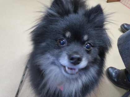 2018(H30)-1-20 第36会巣鴨里親会 (6)