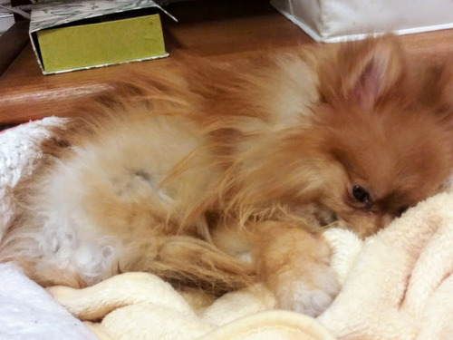 2021(R3)-1-20 �ߥ����ο���� (2)