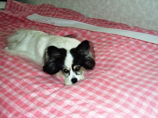 ����ʤ�Ǥ� 01