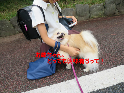 BlogPaint