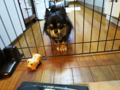 2018(H30)-2-27 ݽȳƮ (3)