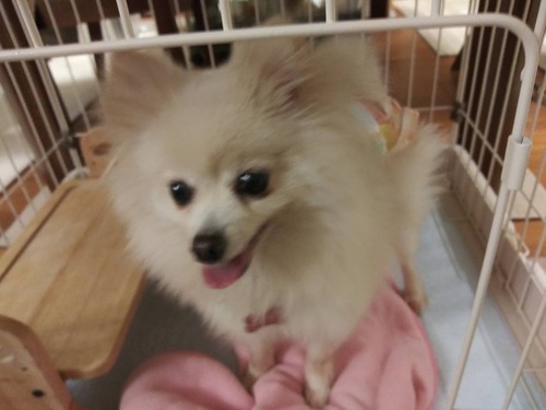 ロージィ 2019-12-23