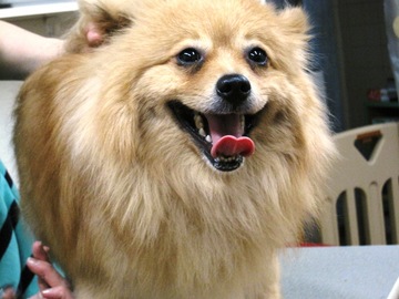 �Ǹ�Υȥ�ߥ�