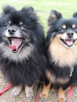 2018(H30)-5-28 ȥ饤6 (1)