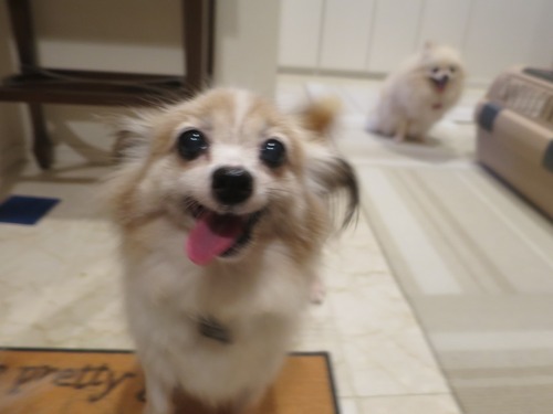 2020(R2)-9-12 ¤ª»¶Êâ½àÈ÷ (8)