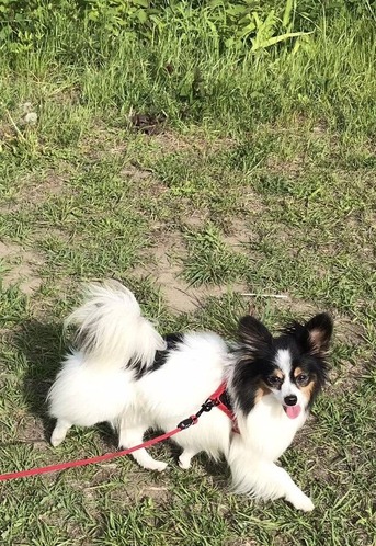 2021(R3)-6-4 トム通信 (1)