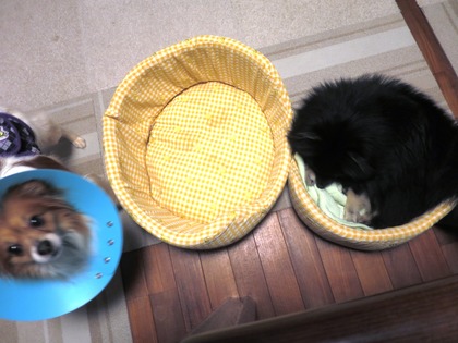 2018(H30)-4-22 �Ϥ߽Ф��� (2)