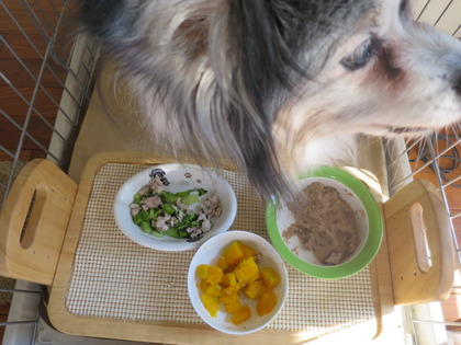 2015-2-15 何なら食べる? (5)