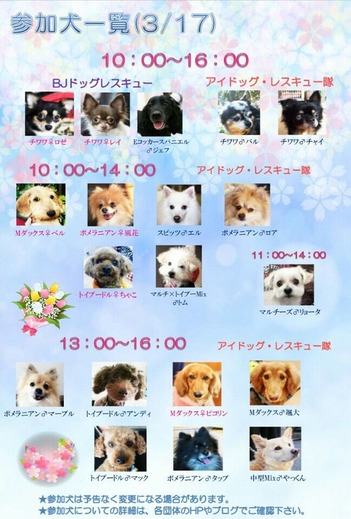 3月里親会参加犬