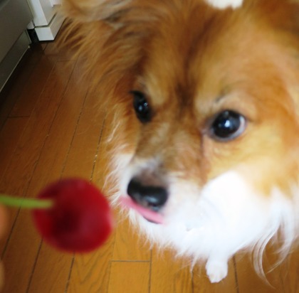 2018(H30)-6-26  (17)