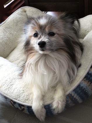 2019(R1)-5-16 ӤϤΤӤǤ⥪Ĥϡ (5)