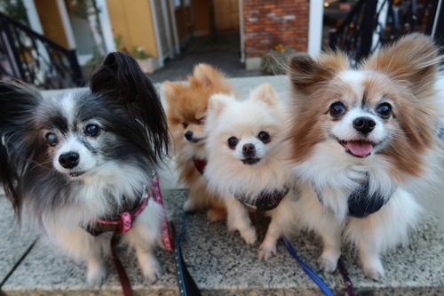 2021(R3)-1-21 ��ͳ���� ��������� (22)