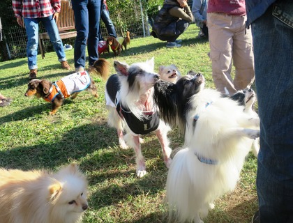 2015(H27)-10-25 第2回卒オフ (236)