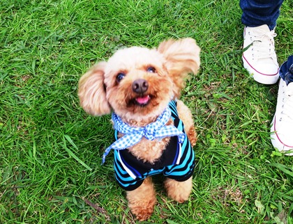 2017-11-3 卒オフ会 (58)