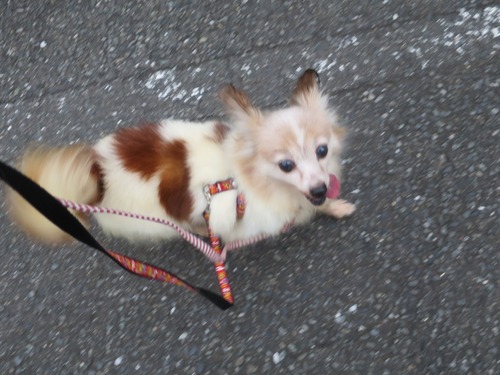 2020(R2)-7-20 ߱äƾд (5)