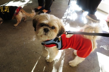 2016(H28)-12-10 第23回里親会・白金台 (8)