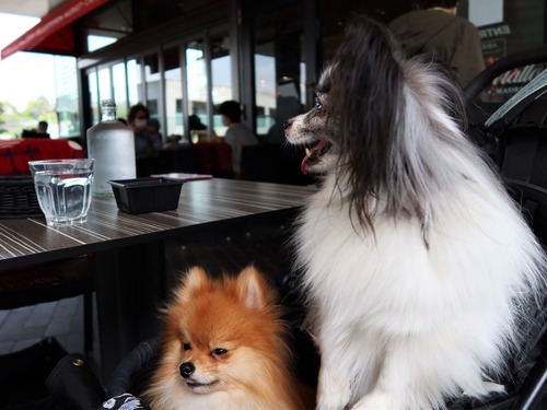 2021(R3)-4-1 ̱Ҷ̻ (4)