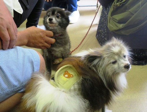 2019(R1)-7-20 Âè58²óΤ¿Æ²ñ(Áã³û) (4)