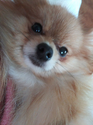 2020(R2)-12-19 äȤ (1)