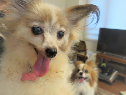 2020(R2)-7-20 äд (1)