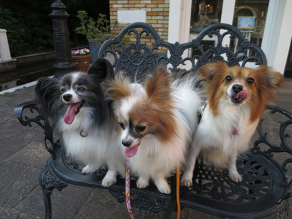 2018(H30)-5-24 ¼«Í³¤¬µÖ¥Ù¥Ë¥¹¤Ø (26)