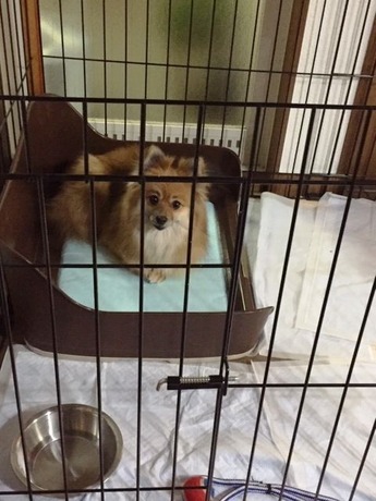 2019(H31)-2-16 トライアル初日 01