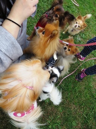 2017-11-3 第4回卒オフ会 (188)