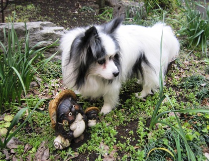 2014-3-17 春は強風 (2)