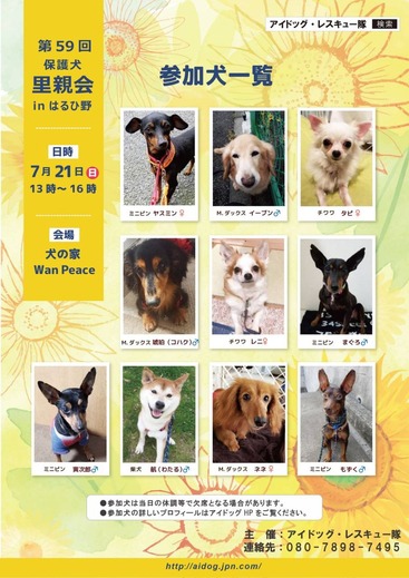 7·î»²²Ã¸¤¡Ê¤Ï¤ë¤ÒÌî¡Ë