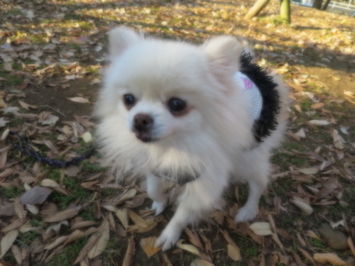 2020(R2)-12-22 סζ (5)