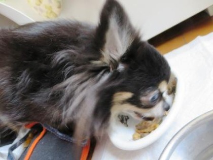 2018(H30)-2-24 退院翌日 (8)