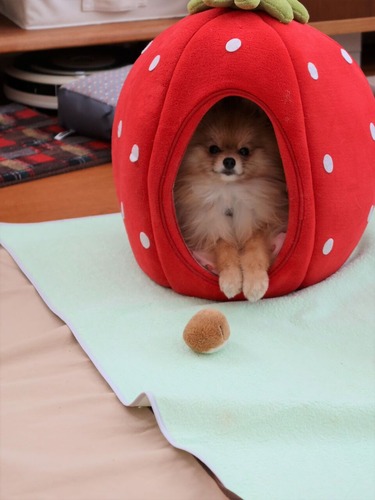 2021(R3)-2-20 Ƥåԡ (4)