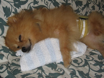 �������Υ󡡣�