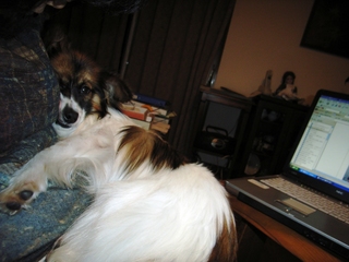 ���ä�����