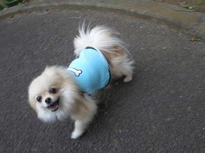 2017(H29)-2-8 水仙の庭で (1)