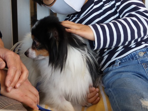 2021(R3)-3-14 トムのお見合い (6)