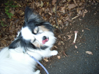 �����ä���01