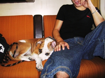 フェレンツェ→パルマ