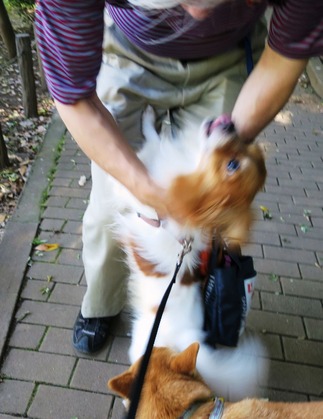 2018(H30)-6-30 ���������˥å���ī���� (6)