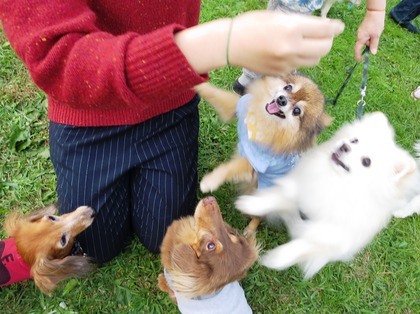 2017-11-3 卒オフ会 (50)