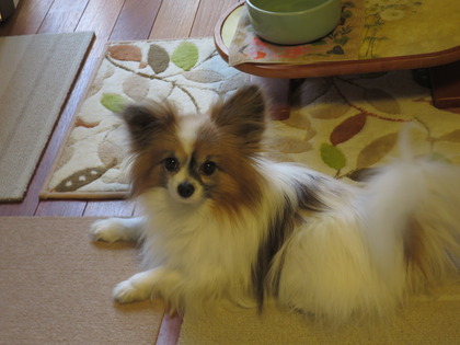 2018(H30)-4-7 ī����Ȥ��θ�Υޥå��� (7)