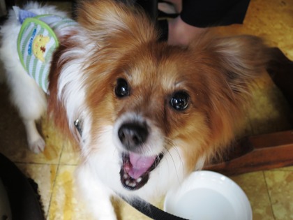 2018(H30)-6-9 ¼¡À¤Âå¤Î³èư»²²Ã¡¦¿ùÊÂÂè¶å¾®³Ø¹» (1)