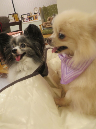 2020(R2)-9-1 ���14�� (1)